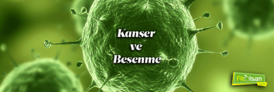 Kanser ve Beslenme
