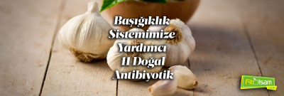 Bağışıklık Sistemimize Yardımcı 11 Doğal Antibiyotik