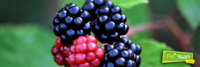 Böğürtlenin Faydaları Nelerdir?