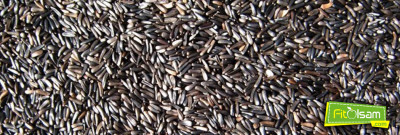 Nijer Tohumunun Faydaları