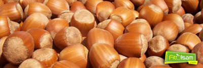 Fındığın Faydaları