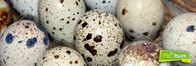 Bıldırcın Yumurtasının Faydaları