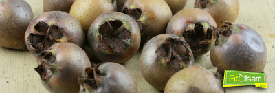 Muşmulanın Faydaları