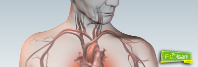 Koroner Arter Hastalığı Nedir?