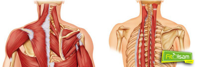 Kas Erimesi Doğal Tedavi Yöntemleri