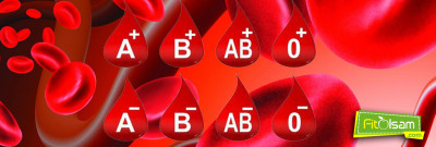 B Kan Grubuna Göre Beslenme Şekli