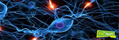 Hormonları Dengelemenin 5 Yolu