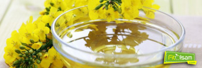 Kanola Yağının Zararları