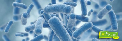 Probiyotiklerin Faydaları Nelerdir?