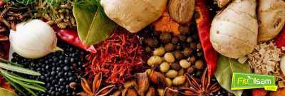 Şifalı Bitkisel İlaçlar ve Faydaları