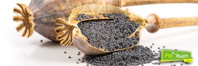 Haşhaş Tohumu Çayı Faydaları