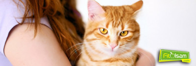 Toksoplazma Enfeksiyonu (Kedi Besleyenler Dikkat !! )