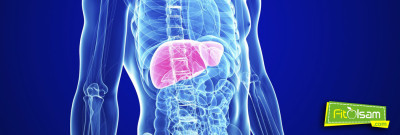 Karaciğer Yağlanmasının Bitkisel Tedavisi