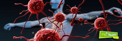 Otoimmünite ve Otoimmün Hastalıklar