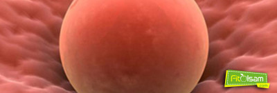 Mol Gebeliğin Nedenleri ve Tedavileri Nelerdir?