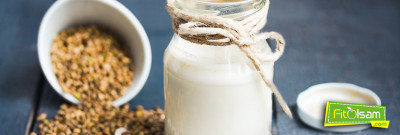 Kenevir Sütünün Beslenmeye ve Faydaları Nelerdir?