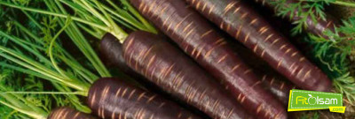 Siyah Havucun Bilinmeyen Faydaları Nelerdir?