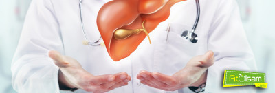 Karaciğere Faydalı Ve Zararlı Yiyecekler Hangileridir?