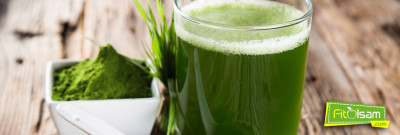 Spirulina Nedir Ve Faydaları Nelerdir?