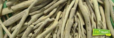 Meyan Kökü Nedir? Faydaları Nelerdir? 