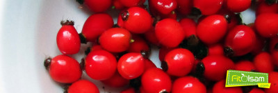 Kuşburnunun Faydaları Nelerdir?