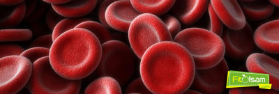 Trombosit Nedir? Trombosit Yüksekliği ve Düşüklüğü Ne Anlama Gelir?