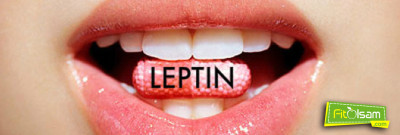 Leptin Nedir?  Leptin İçeren Besinler Nelerdir? 