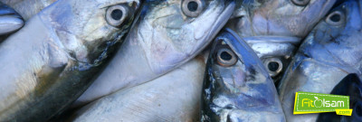 Balık Yemenin 11 İnanılmaz Faydası Nelerdir?