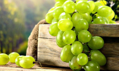 Üzüm Diyeti Nasıl Yapılır?