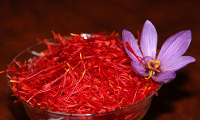 Safran Çayı İle Nasıl Zayıflanır?