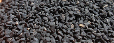 Çörek Otu Nedir? Çörek Otunun Faydaları Nelerdir?