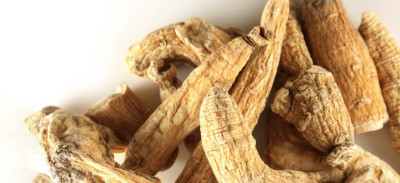 Gingseng Nedir? Gingseng'in Faydaları Nelerdir?