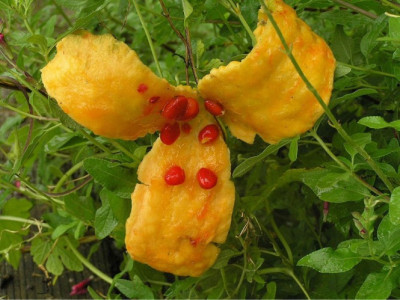 Kudret Narı Nedir? Kudret Narı Faydaları Nelerdir?