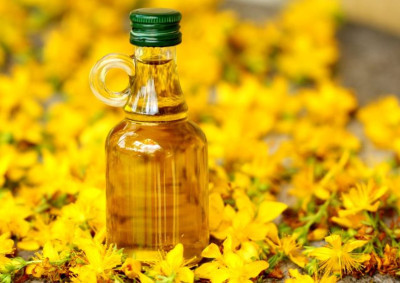 Kantaron yağının Faydaları Nelerdir?