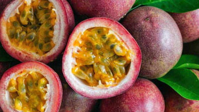 Passiflora Meyvesi (Çarkıfelek Meyvesi) Nedir? Çarkıfelek Meyvesinin Faydaları Nelerdir?