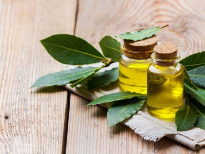 Defne Yağının Sağlığımıza Faydaları Nelerdir?