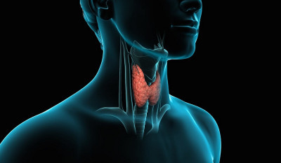 Haşimato Hastalığı Nedir? Belirtileri ve Tedavi Yöntemleri Nelerdir?