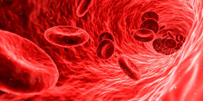 Hemoglobin Nedir? Düşüklüğü ve HGB Normal Değerleri