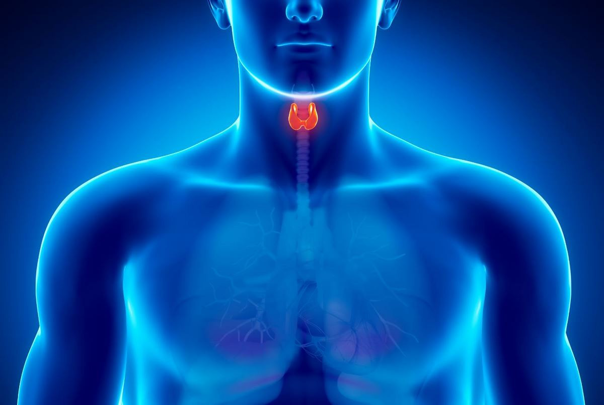 Hipertiroidi Nedir? Tedavisi Nasıl Olur? - Sağlık | Fit Olsam