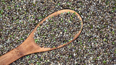 Kenevir Tohumunun Sağlığa Faydaları Nelerdir?