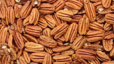Pikan Cevizi Nedir? Pikan Cevizi Faydaları Nelerdir?