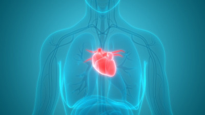 Angina Pektoris Nedir? Tedavi Yöntemleri ve Belirtileri Nelerdir? 