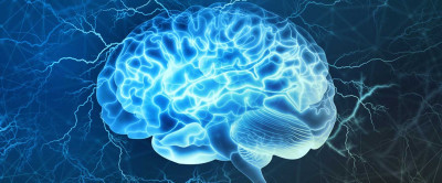 Beyne İyi Gelen Gıdalar Hangileridir?