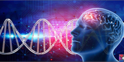 Dopamin Nedir? Dopamin İçeren Gıdalar Nelerdir?