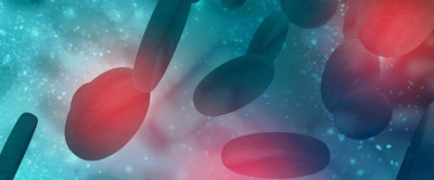 Htc (Hematokrit) Nedir?