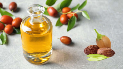 Jojoba Yağı Nedir? Jojoba Yağı Faydaları Nelerdir?