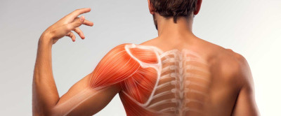 Kas Seğirmesi (Miyokimi) Nedir?