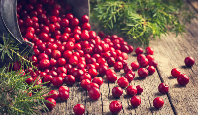 Kızılcık Çayının Faydaları Nelerdir?