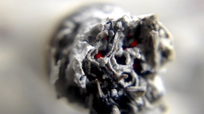 İçeriğinde Nikotin Bulunduran Gıdalar Nelerdir?