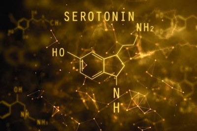 Serotonin İçeren Gıdalar Nelerdir?